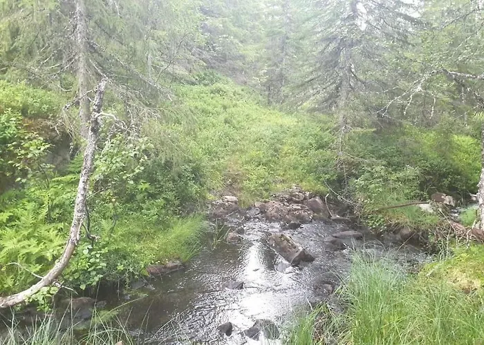 Hamran Lägenhet Mosvik